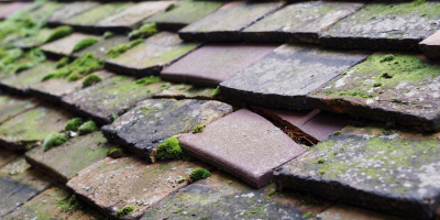 Northstowe roof repair costs